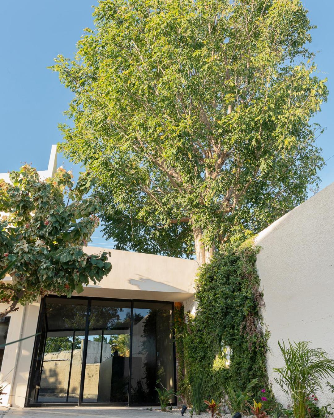 Hotel Nikche Mérida