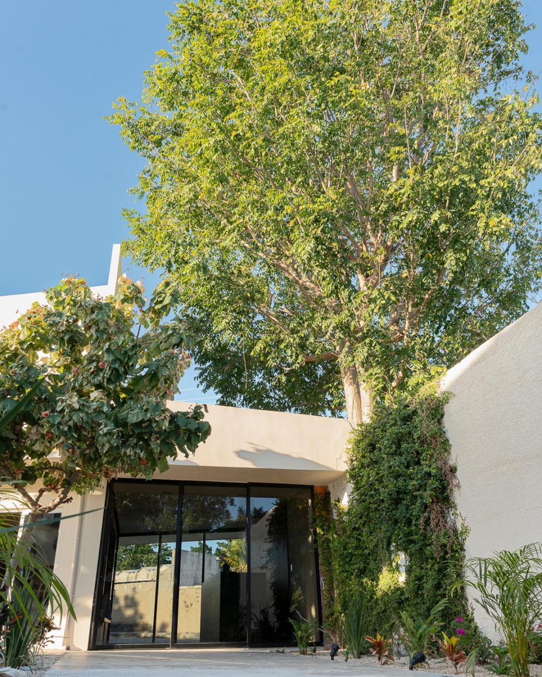 Nikche Hotel Mérida
